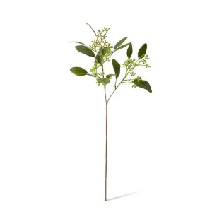 Eucy Seeding Spray - 21 x 21 x 48cm by null, a Plants for sale on Style Sourcebook