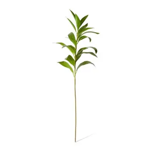Lily Leaf Spray - 32 x 24 x 100cm by null, a Plants for sale on Style Sourcebook