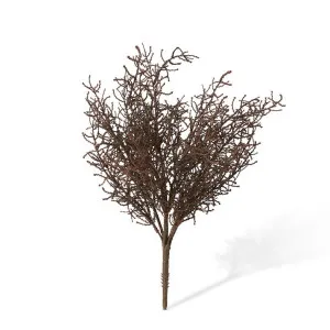 Santolina Bush - 30 x 30 x 40cm by null, a Plants for sale on Style Sourcebook