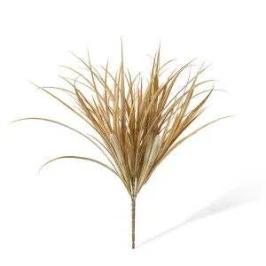 Grass Bush - 46 x 44 x 48cm by null, a Plants for sale on Style Sourcebook