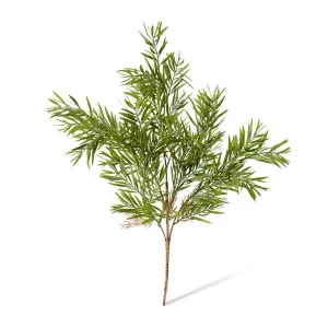 Grevillia Bush - 35 x 35 x 60cm by null, a Plants for sale on Style Sourcebook