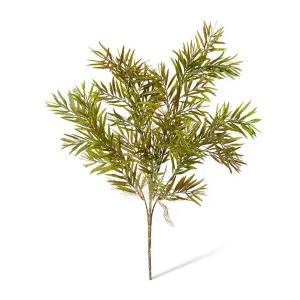 Grevillia Bush - 35 x 35 x 60cm by null, a Plants for sale on Style Sourcebook