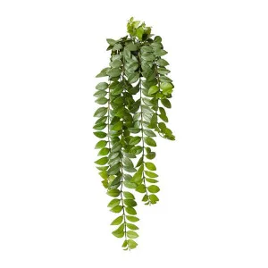 Honey Locust Hanging Bush - 21 x 21 x 76cm by null, a Plants for sale on Style Sourcebook