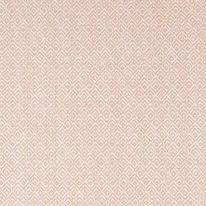 Tilly Blush by Ashley Wilde, a Fabrics for sale on Style Sourcebook