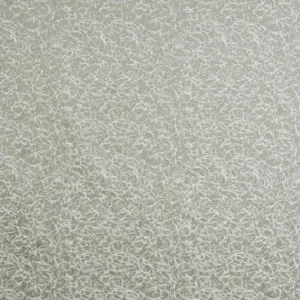 Wick Sage by Ashley Wilde, a Fabrics for sale on Style Sourcebook