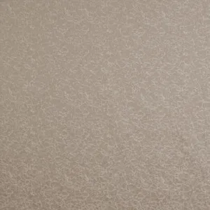 Wick Taupe by Ashley Wilde, a Fabrics for sale on Style Sourcebook