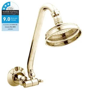 Noosa Shower Rose &amp; Arm Only, Gold PVD by null, a Showers for sale on Style Sourcebook