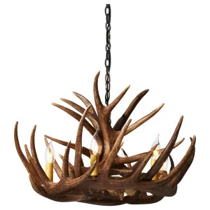 Ancona 6 Light Resin Antler Chandelier, Natural by null, a Chandeliers for sale on Style Sourcebook