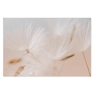 Creamy Darling by Gioia Wall Art, a Prints for sale on Style Sourcebook