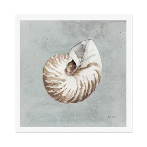 Sand And Seashells, Style A by Gioia Wall Art, a Prints for sale on Style Sourcebook