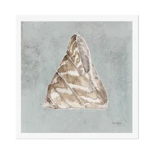 Sand And Seashells, Style F by Gioia Wall Art, a Prints for sale on Style Sourcebook