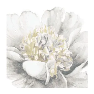 White Garden by Gioia Wall Art, a Prints for sale on Style Sourcebook