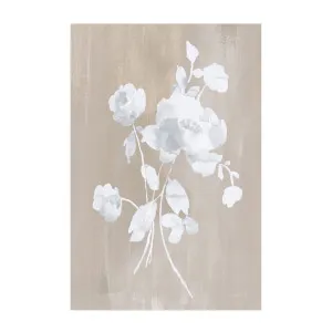 White Florals Of Summer by Gioia Wall Art, a Prints for sale on Style Sourcebook