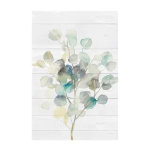 Eucalyptus on Shiplap by Gioia Wall Art, a Prints for sale on Style Sourcebook