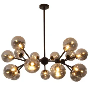 Nora Living Domi 15 Light Pendant Matt Black by Nora Living, a Pendant Lighting for sale on Style Sourcebook