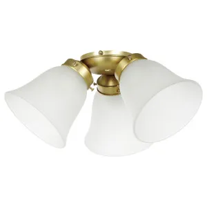 Eglo Waikiki 3 Light Kit Only Brushed Brass by Eglo, a Ceiling Fans for sale on Style Sourcebook