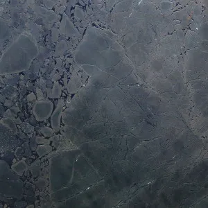 Negresco Quartzite by CDK Stone, a Quartzite for sale on Style Sourcebook