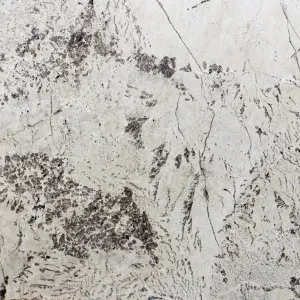 Bianco Louisa Granite by CDK Stone, a Granite for sale on Style Sourcebook