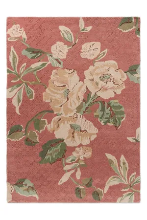 Laura Ashley Aylworth Trail Terracotta Orange 078603 by Laura Ashley, a Contemporary Rugs for sale on Style Sourcebook