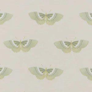 Kano Pistachio by Kai, a Fabrics for sale on Style Sourcebook