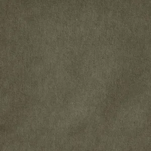 Savona Pine by Kai, a Fabrics for sale on Style Sourcebook