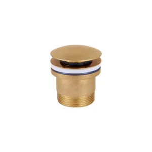 Avi Pop Up Waste - Tumbled Aged Brass by ABI Interiors Pty Ltd, a Traps & Wastes for sale on Style Sourcebook