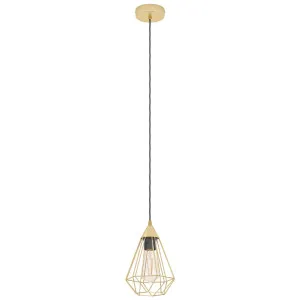Eglo Tarbes Brushed Brass 1 Light Cage Pendant Small by Eglo, a Pendant Lighting for sale on Style Sourcebook