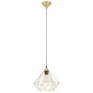 Eglo Tarbes Brushed Brass 1 Light Cage Pendant Large by Eglo, a Pendant Lighting for sale on Style Sourcebook