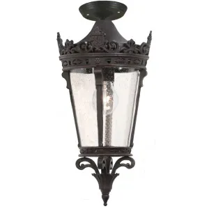 Crown Under Eave Large by Lighting Inspirations, a Outdoor Lighting for sale on Style Sourcebook