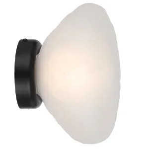 Telbix Zecca Wall Light Black and Frost by Telbix, a Outdoor Lighting for sale on Style Sourcebook