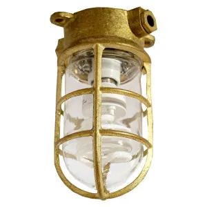 Regatta Outdoor Ceiling Mount Solid Brass by Lighting Inspirations, a Outdoor Lighting for sale on Style Sourcebook