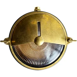 Marina Outdoor Wall Light Solid Brass by Lighting Inspirations, a Outdoor Lighting for sale on Style Sourcebook