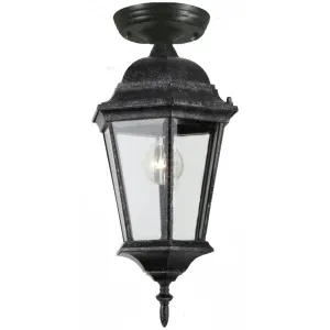 Junction Under Eave Small by Lighting Inspirations, a Outdoor Lighting for sale on Style Sourcebook