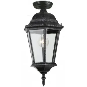 Junction Under Eave Medium by Lighting Inspirations, a Outdoor Lighting for sale on Style Sourcebook