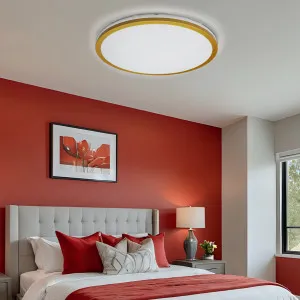 Vencha Hector Medium CCT LED Ceiling Light Gold by Vencha, a LED Lighting for sale on Style Sourcebook