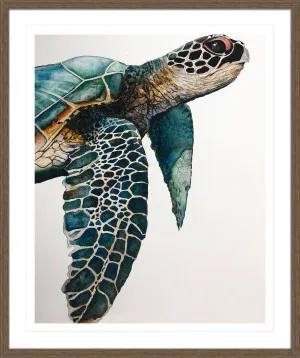 GREAT SEA TURTLE by null, a Prints for sale on Style Sourcebook