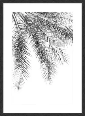 PALM GRACE NOIR by null, a Prints for sale on Style Sourcebook