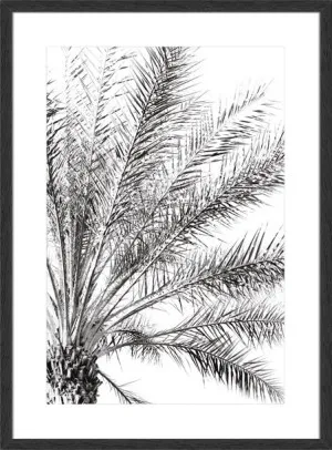 PALM BREEZE NOIR by null, a Prints for sale on Style Sourcebook