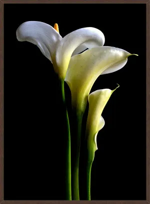 LILY TRIO by null, a Prints for sale on Style Sourcebook