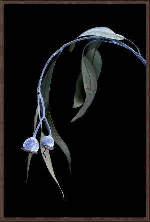 DRIED GUM LEAVES - 124x84cm by null, a Prints for sale on Style Sourcebook