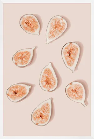 FIG SEGMENTS - DISPLAY by null, a Prints for sale on Style Sourcebook