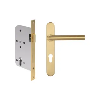 Davis Entry Door Handle & Lock Set - Brushed Brass by ABI Interiors Pty Ltd, a Door Hardware for sale on Style Sourcebook