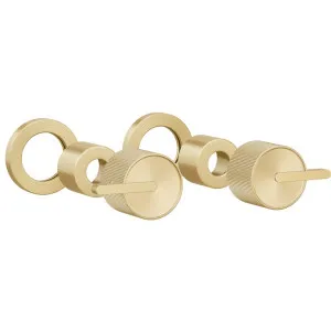 Namika Assembly Handle Kit - Brushed Brass by ABI Interiors Pty Ltd, a Bathroom Taps & Mixers for sale on Style Sourcebook
