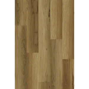 Evo Spotted Gum Hybrid Textured by null, a Hybrid Flooring for sale on Style Sourcebook