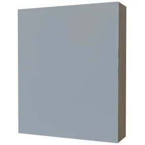Tennessee Shaving Cabinet 600mm Single Door Gold Collection by Timberline, a Vanity Mirrors for sale on Style Sourcebook