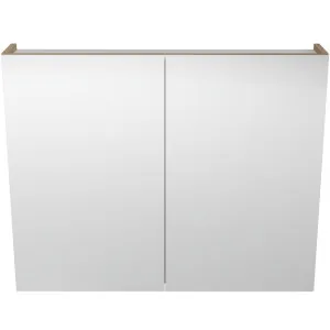 Tennessee Shaving Cabinet 900mm Double Door Gold Collection by Timberline, a Vanity Mirrors for sale on Style Sourcebook