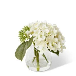 Hydrangea Garden Seeding Nut - Alma Vase - 20 x 18 x 18 cm by null, a Plants for sale on Style Sourcebook
