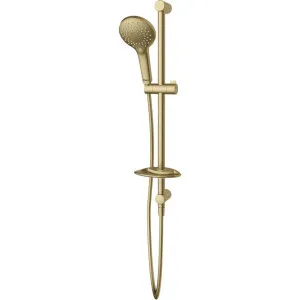 Rome Classic Gold Hand Shower with Rail by Rome, a Shower Heads & Mixers for sale on Style Sourcebook