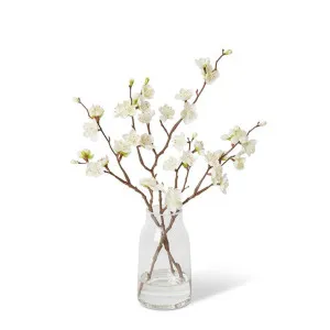 Blossom Plum Spray - Harnan Vase - 30 x 25 x 36cm by null, a Plants for sale on Style Sourcebook