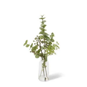 Eucalyptus Dollar Seeding Spray - 24 x 24 x 58cm by null, a Plants for sale on Style Sourcebook